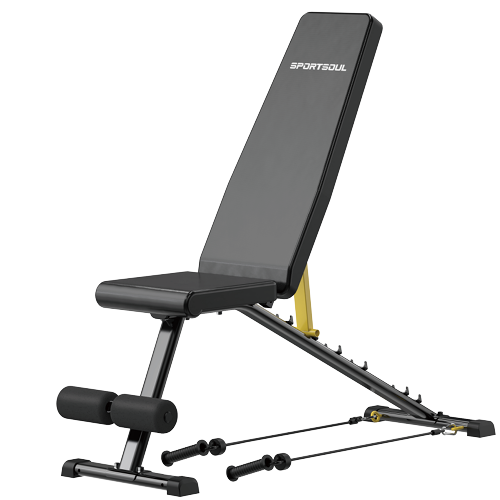 �ɵ���ѵ����