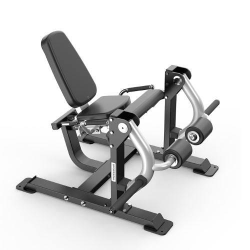 ��ʽ����ѵ����