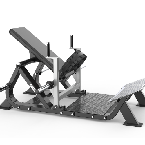 �β�����ѵ����