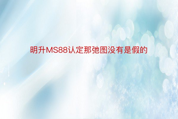 明升MS88认定那弛图没有是假的