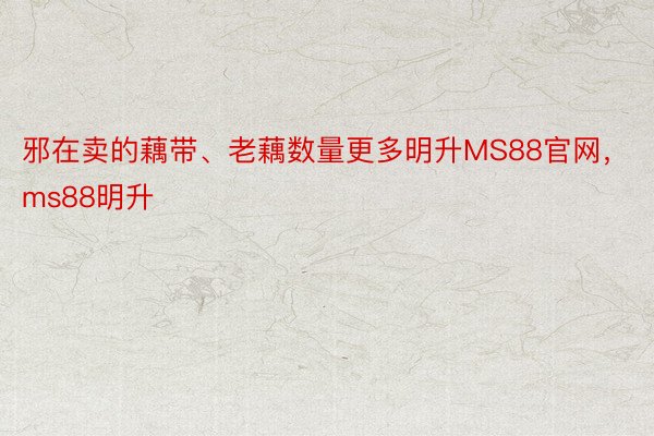 邪在卖的藕带、老藕数量更多明升MS88官网，ms88明升